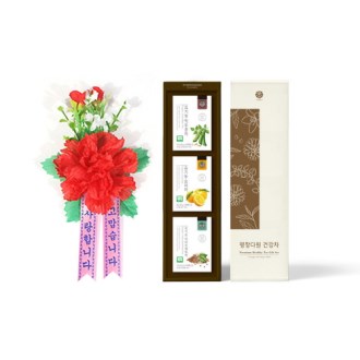 ����� ����� ������ ��ȹ��Ʈ E, ����̳� ī���̼� ������Ʈ 