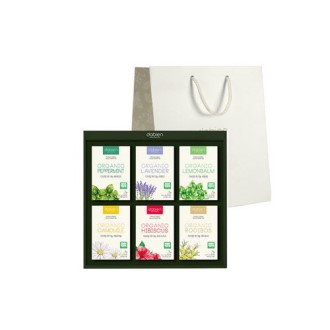 KA2129 ������ ��ȭ�� ���� ����� ���Ƽ ��Ʈ 2ȣ