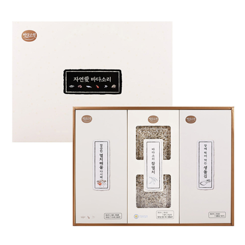 �ٴټҸ� ���� 9ȣ